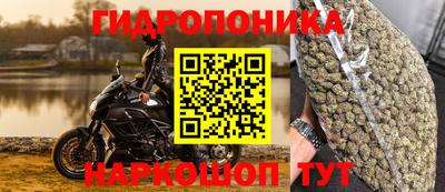 МДПВ Ярославль