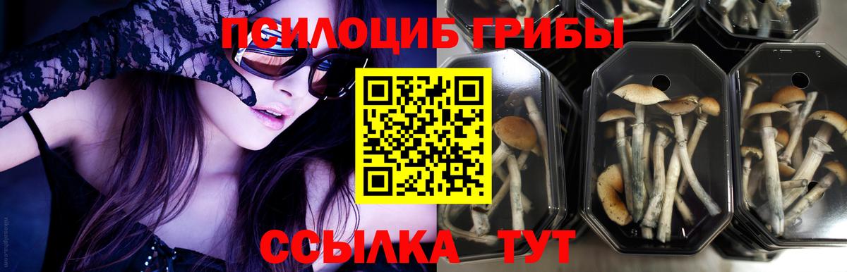 Псилоцибиновые грибы Psilocybine cubensis  Вход с VPN  Галлюциногенные грибы мухоморы  Калач-на-Дону 